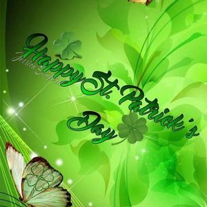 Meet your Posher, Misty